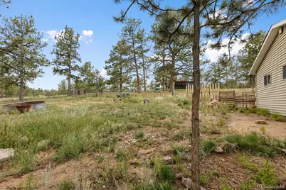 1703 Arapahoe Drive, Florissant, CO 80816 - Photo 36