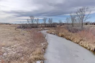 2872 Alton St, Denver, CO 80238 - Photo 44