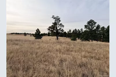 06 County Road 122, Ramah, CO 80832 - Photo 4