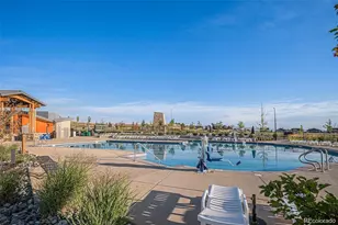 14341 Beebalm Loop, Parker, CO 80134 - Photo 30