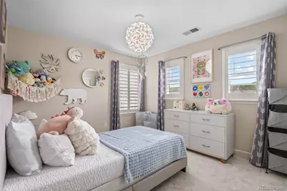 4133 Zodiac Place, Castle Rock, CO 80109 - Photo 30