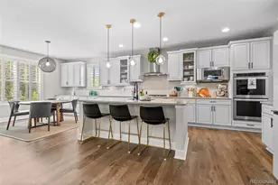 4133 Zodiac Pl, Castle Rock, CO 80109 - Photo 8