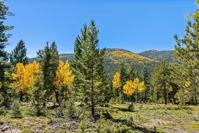 30854 Forest Shadow Trail, Conifer, CO 80433 - Photo 1
