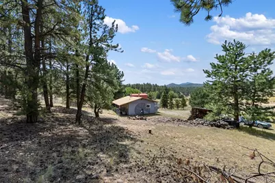 272 Spring Valley Trail, Florissant, CO 80816 - Photo 28