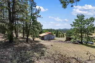 272 Spring Valley Trail, Florissant, CO 80816 - Photo 28