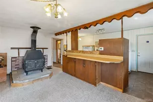 272 Spring Valley Trail, Florissant, CO 80816 - Photo 8