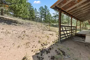 272 Spring Valley Trail, Florissant, CO 80816 - Photo 26