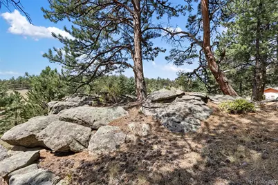 272 Spring Valley Trail, Florissant, CO 80816 - Photo 32