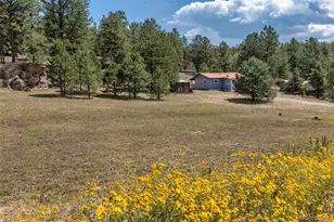272 Spring Valley Trail, Florissant, CO 80816 - Photo 4