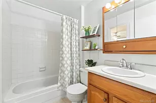 10022 Alcott St, Denver, CO 80260 - Photo 22