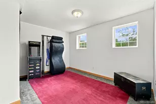 10022 Alcott St, Denver, CO 80260 - Photo 14