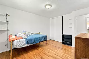 10022 Alcott St, Denver, CO 80260 - Photo 20