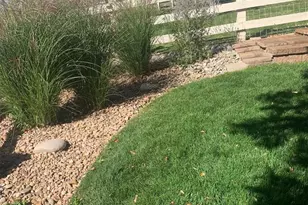 14235 Reserve Pl, Broomfield, CO 80023 - Photo 40