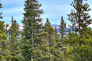 1678 Cr-14A, Fairplay, CO 80440 - Photo 22