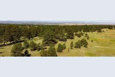 10348 Pine Song Place, Parker, CO 80138 - Photo 16