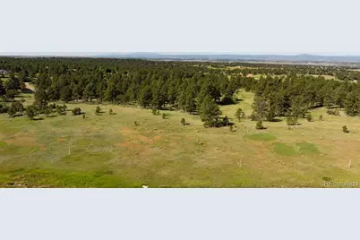 10348 Pine Song Place, Parker, CO 80138 - Photo 12