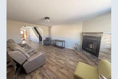 305 Chestnut Street, Leadville, CO 80461 - Photo 8