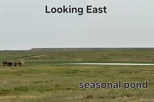 County Rd 96 Lot 2, Pierce, CO 80520 - Photo 1