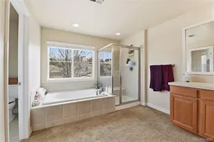 6875 S Buchanan Ct, Aurora, CO 80016 - Photo 24
