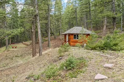 9471 S Warhawk Road, Conifer, CO 80433 - Photo 40
