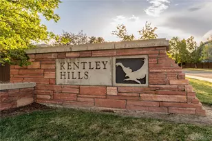 3041 Wyecliff Way, Highlands Ranch, CO 80126 - Photo 46