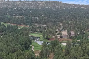 4364 Chateau Ridge Ln, Castle Rock, CO 80108 - Photo 36