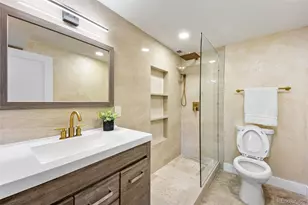 9696 Pinebrook St, Highlands Ranch, CO 80130 - Photo 24