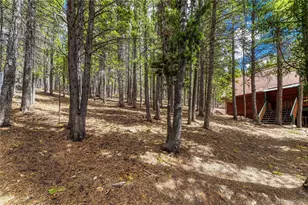 153 Nebraska Dr, Idaho Springs, CO 80452 - Photo 42