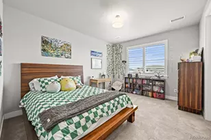 5411 Edenborn Wy, Castle Rock, CO 80104 - Photo 36