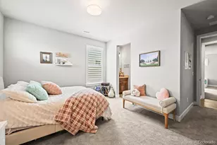 5411 Edenborn Wy, Castle Rock, CO 80104 - Photo 42