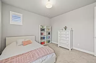 5411 Edenborn Wy, Castle Rock, CO 80104 - Photo 32