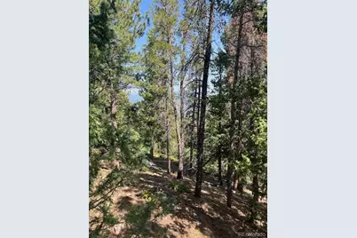 000 Raven Drive, Idaho Springs, CO 80452 - Photo 4