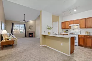 10841 Twenty Mile Road, Parker, CO 80134 - Photo 8