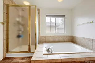 10675 Cliffrose Way, Highlands Ranch, CO 80130 - Photo 22