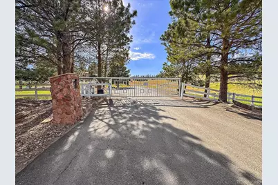 1175 Castle Pointe Drive, Castle Rock, CO 80104 - Photo 4