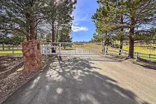 1175 Castle Pointe Dr, Castle Rock, CO 80104 - Photo 4