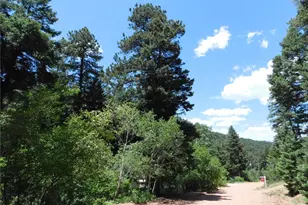 13371 Spruce Creek Cir, Larkspur, CO 80118 - Photo 1
