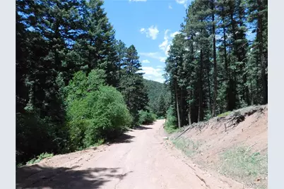 13371 Spruce Creek Circle, Larkspur, CO 80118 - Photo 14