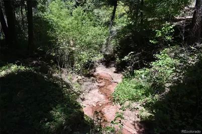 13371 Spruce Creek Circle, Larkspur, CO 80118 - Photo 12