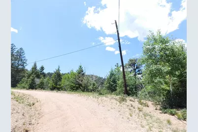 13371 Spruce Creek Circle, Larkspur, CO 80118 - Photo 4