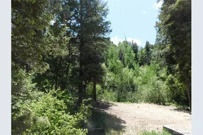 13371 Spruce Creek Circle, Larkspur, CO 80118 - Photo 20