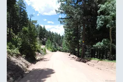 13371 Spruce Creek Circle, Larkspur, CO 80118 - Photo 26