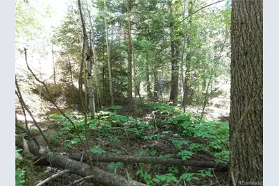 13371 Spruce Creek Circle, Larkspur, CO 80118 - Photo 6