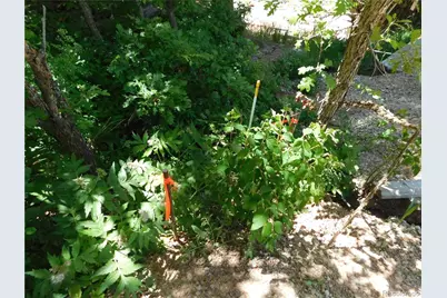 13371 Spruce Creek Circle, Larkspur, CO 80118 - Photo 22