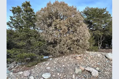 3593-3594 Splendid Way, Crestone, CO 81131 - Photo 4