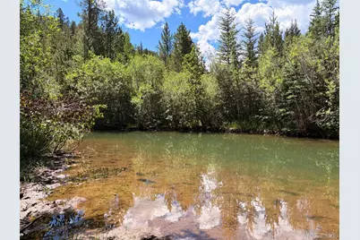 Fool's Luck, Black Hawk, CO 80422 - Photo 6
