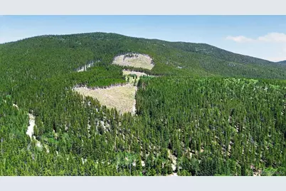 Fool's Luck, Black Hawk, CO 80422 - Photo 48