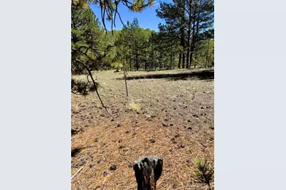 126 Zion Court, Hartsel, CO 80449 - Photo 40