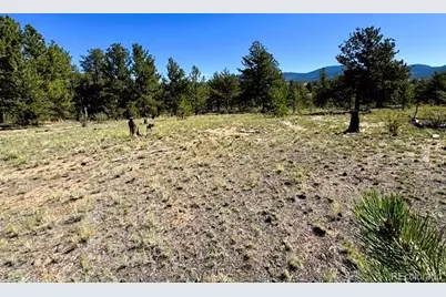 126 Zion Court, Hartsel, CO 80449 - Photo 14