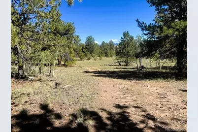 126 Zion Court, Hartsel, CO 80449 - Photo 26